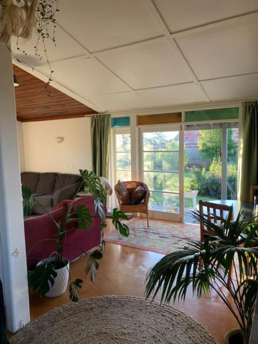 Havelock North Cottage On Organic Orchard Εξωτερικό φωτογραφία